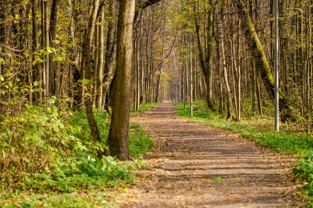 Фотография автора Viktoriya Kim