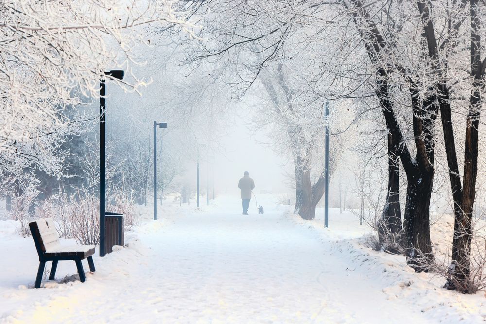 Photograph by Natalya Kuzmik