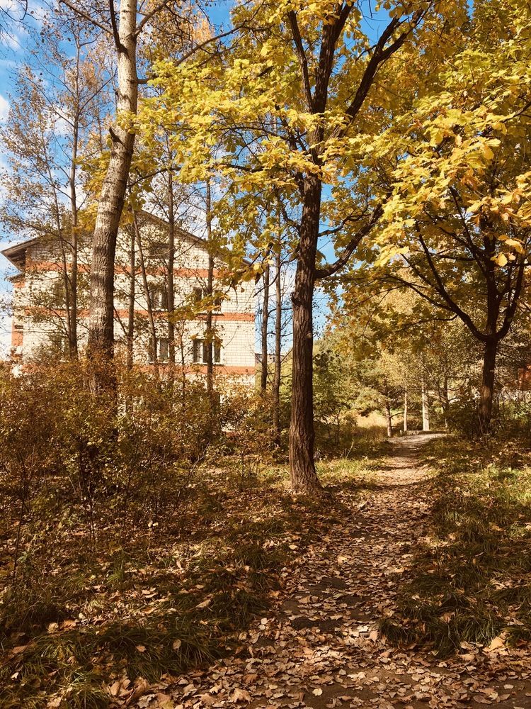 Из парка в город.