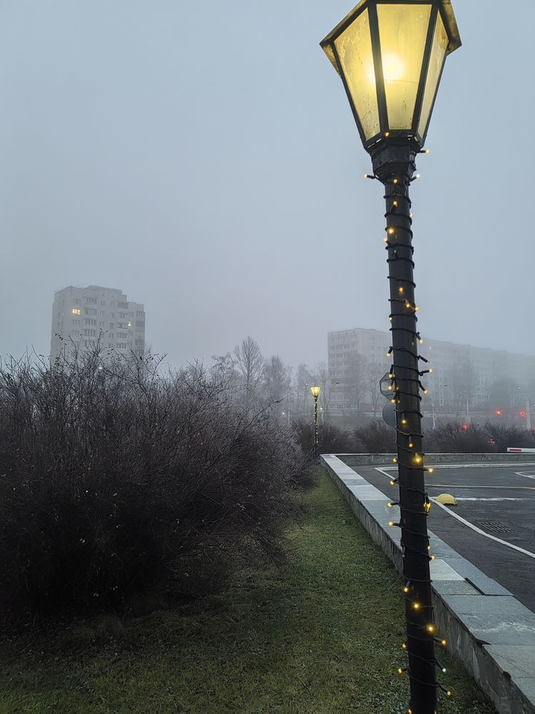 Photo #13042735