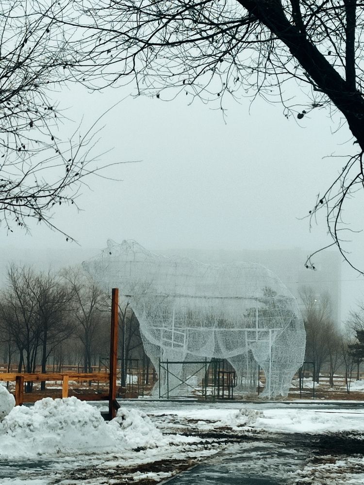 Photograph by Ирина Строкова