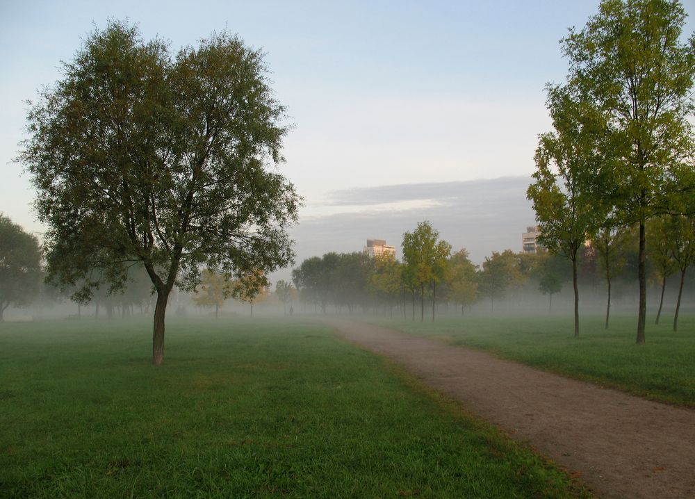 Утренний туман