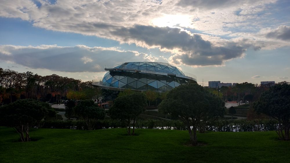 Photo #13042826