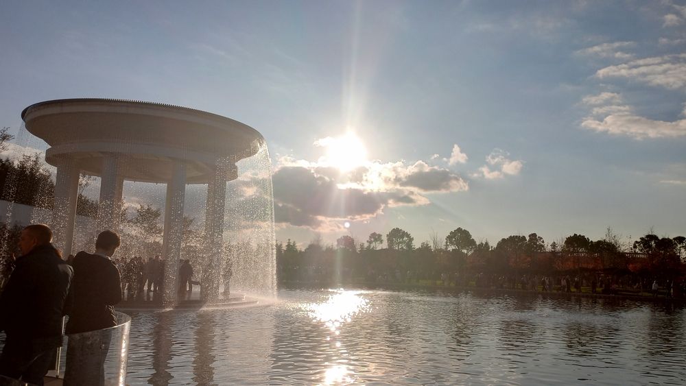Photo #13042827