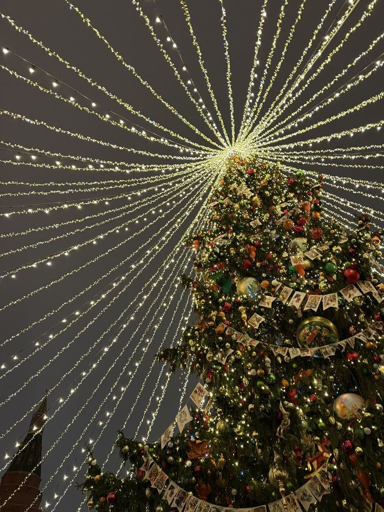 Photograph by Светлана Долганова