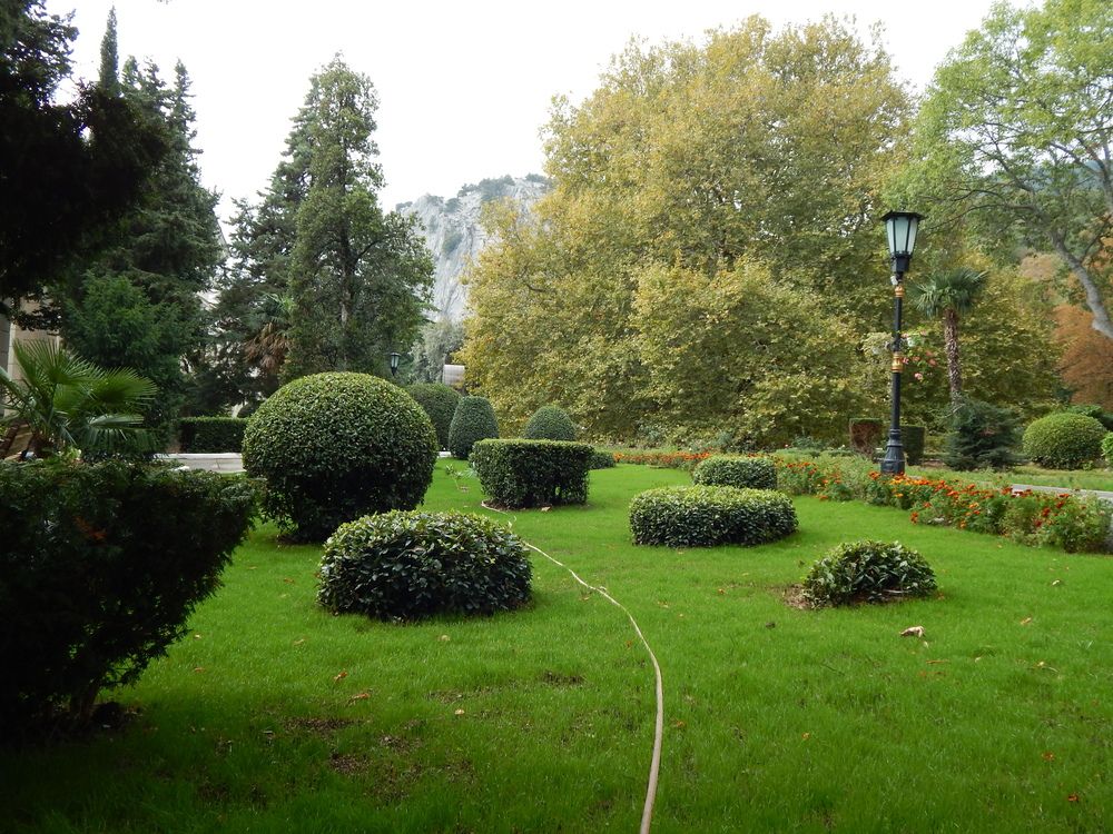 Photograph by Tanivsv