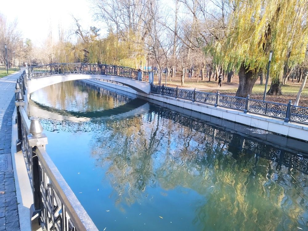 Photograph by Tanivsv