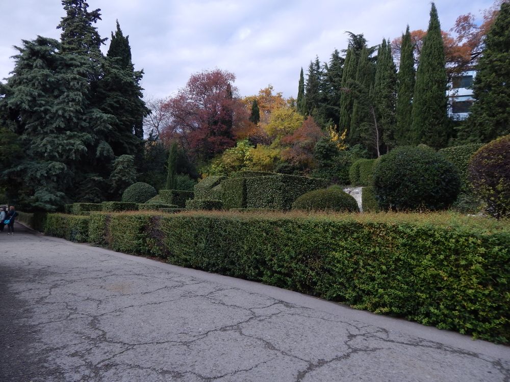 Photograph by Tanivsv