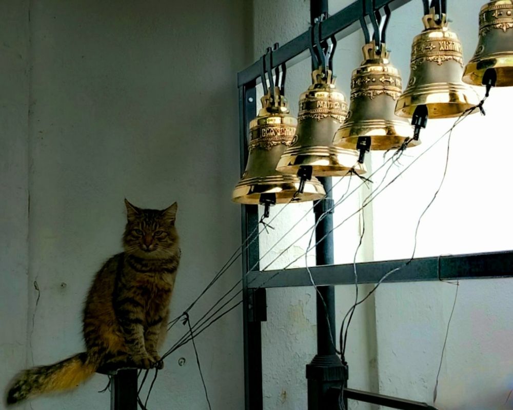 Photograph by Марина Соловьева