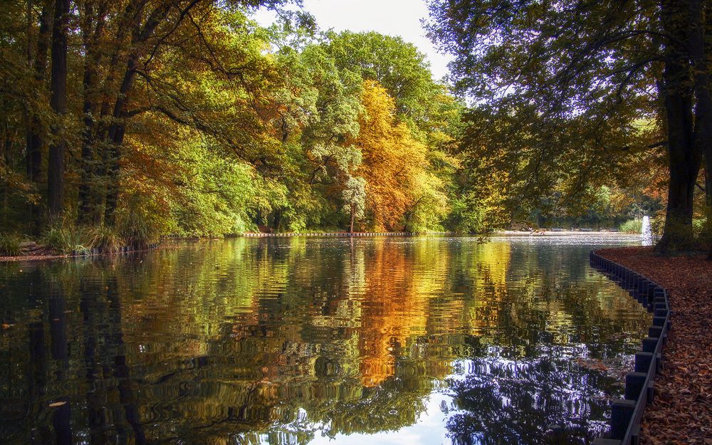 Фотография автора Александр