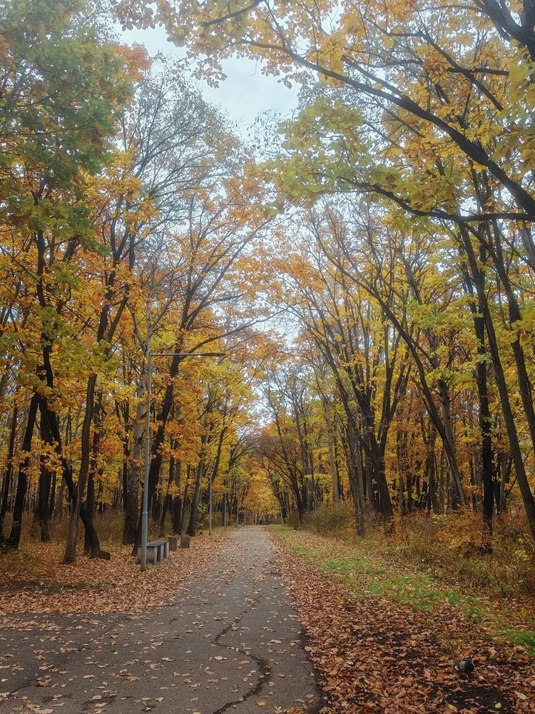 Чуть запотевший пейзаж.