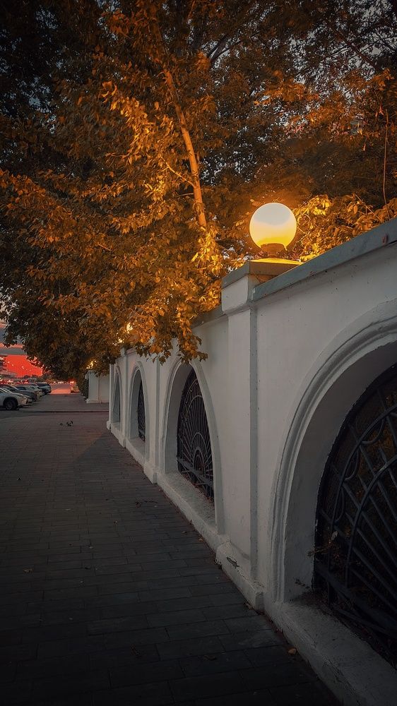 Фотография автора Анастасия Мамаева