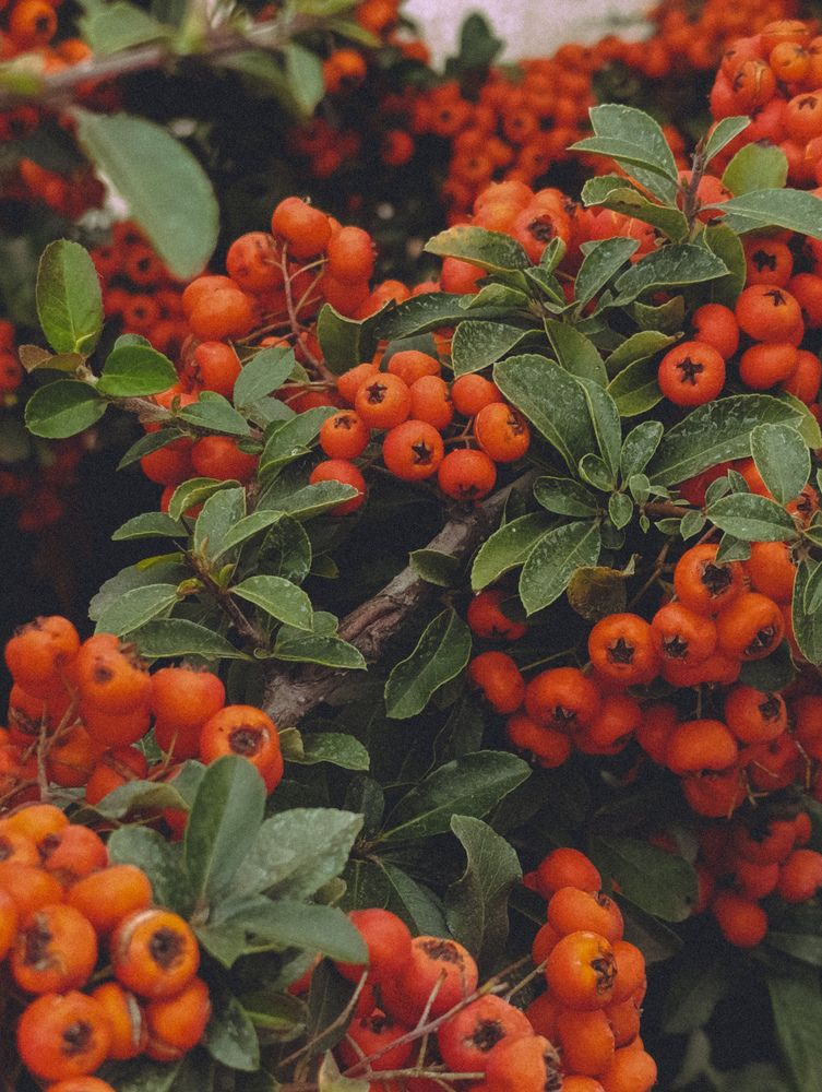 Photograph by Виктория Ступина