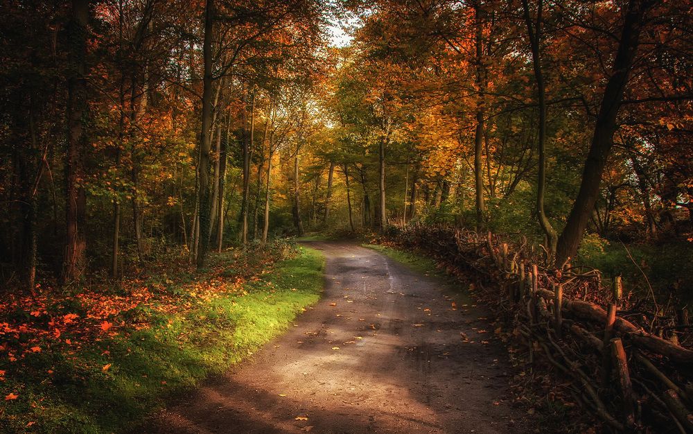 Фотография автора Александр