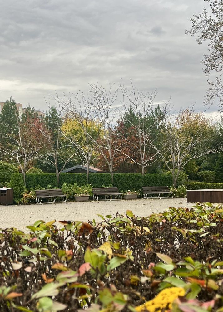 Photograph by Ольга Белоусова