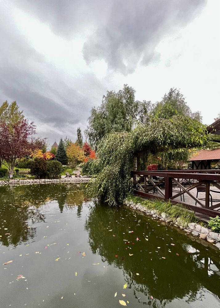 Photograph by Ольга Белоусова