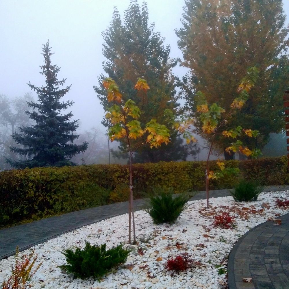 Photograph by Васильева Львовна