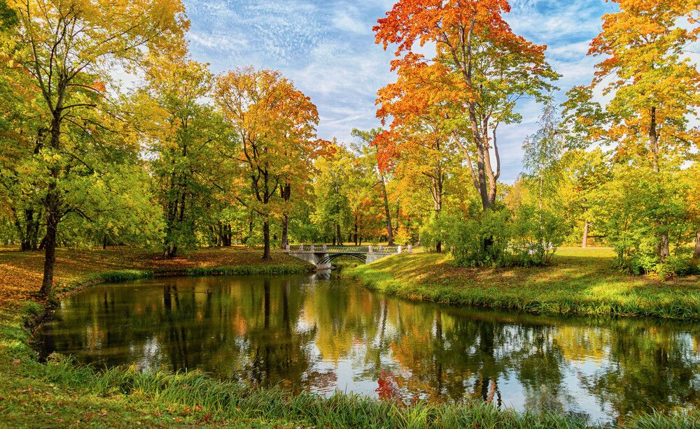 Photograph by Ольга Егунова