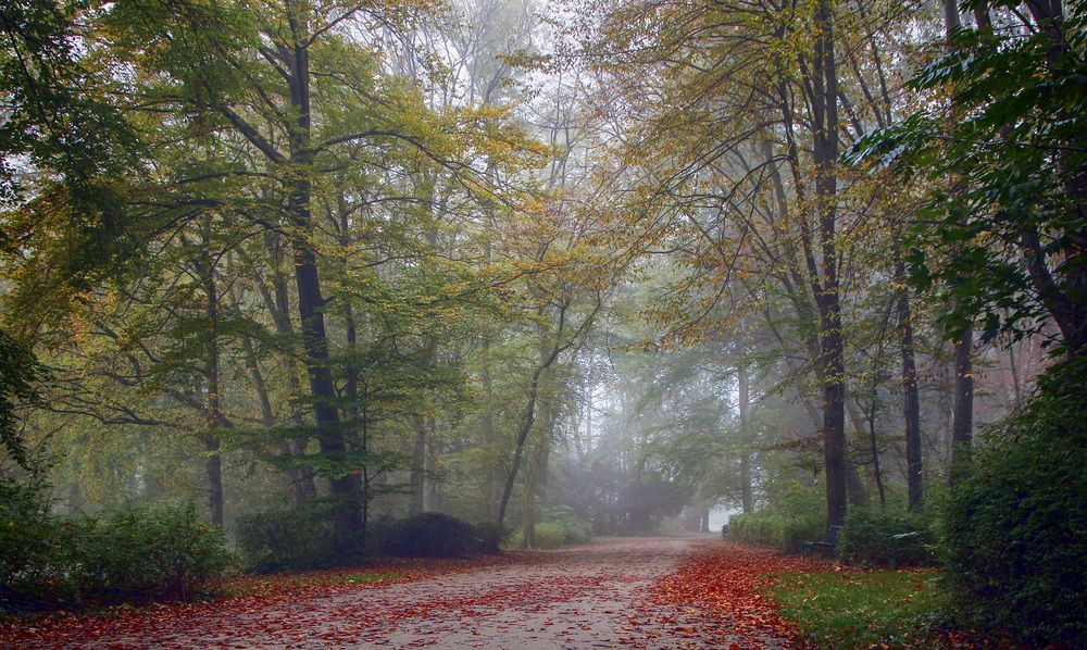 Фотография автора Александр