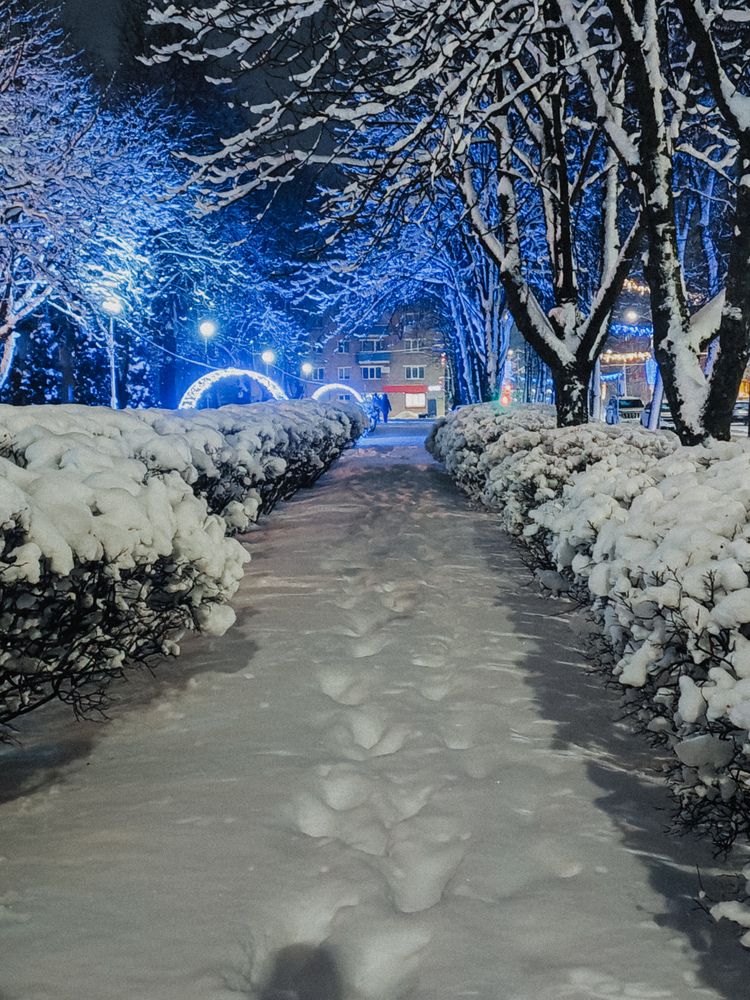 Фотография автора Svetlana Fomenko