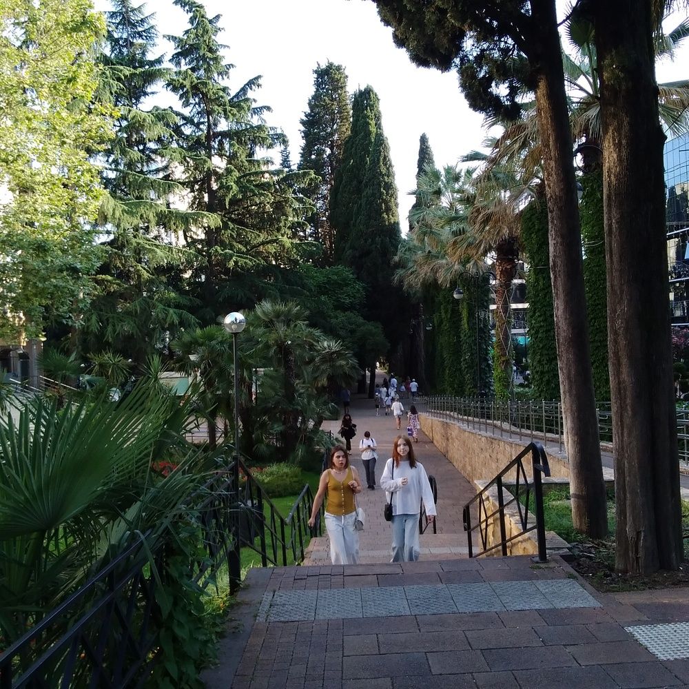 Photograph by Васильева Львовна