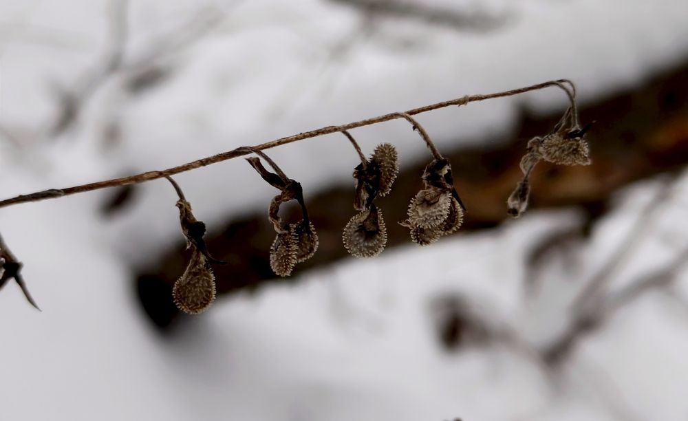 Photograph by Татьяна Пятернёва