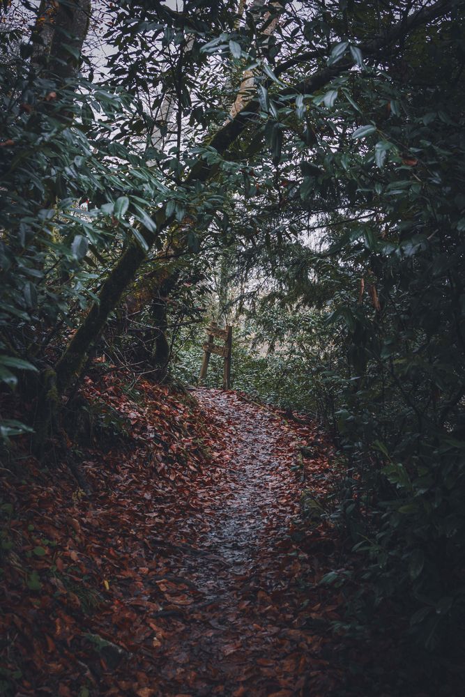 Фотография автора Дмитрий Катаругин