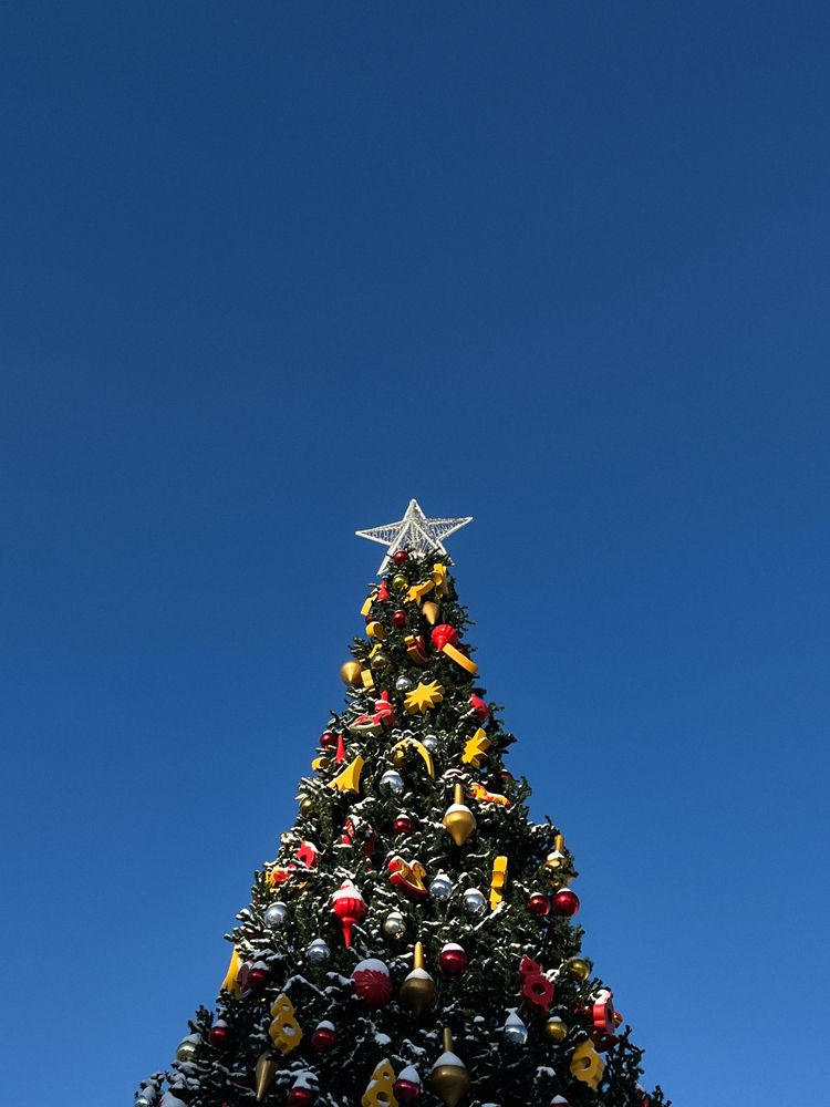 Photograph by Регина Габдулхаева