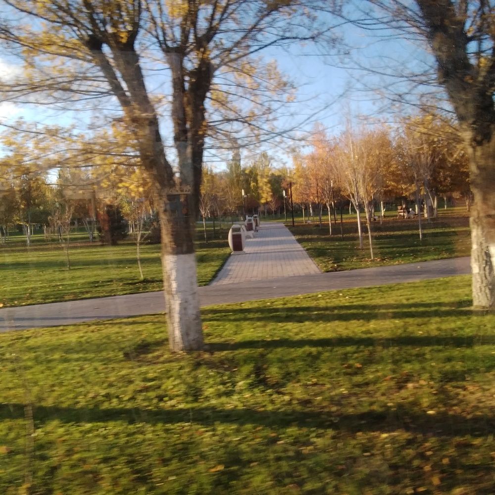 Photograph by Васильева Львовна