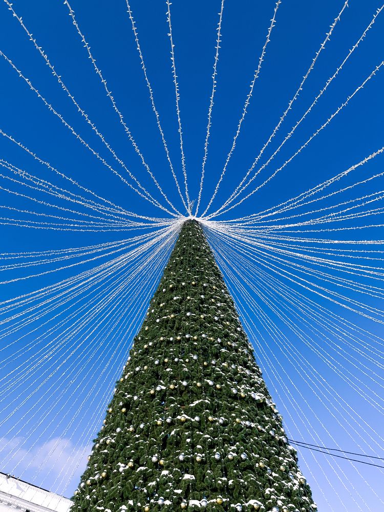 Photograph by Регина Габдулхаева