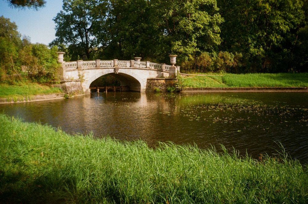 Photograph by Регина Габдулхаева