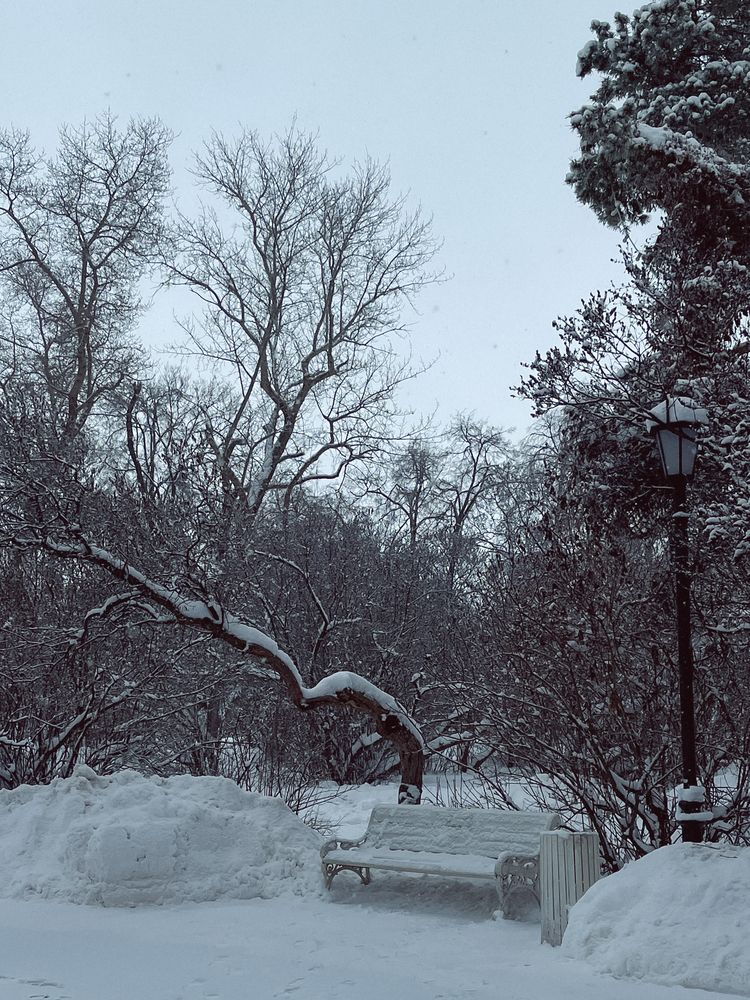 Photograph by Регина Габдулхаева