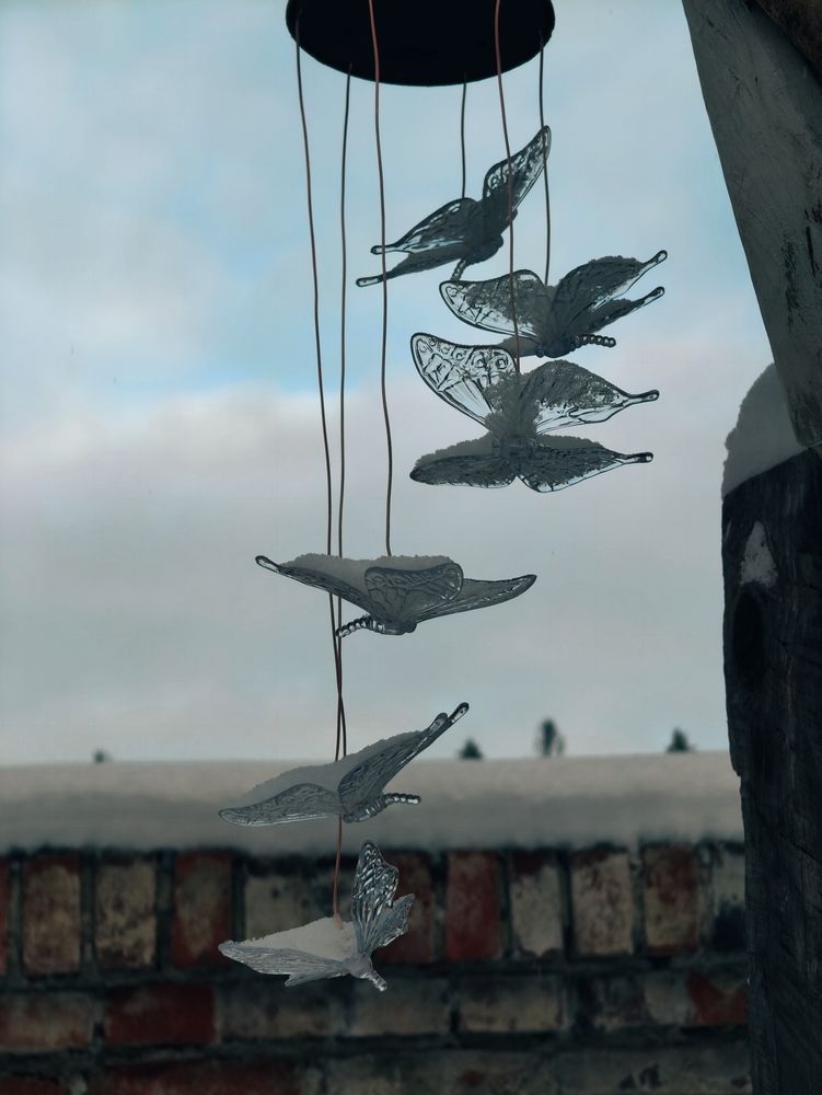 Photograph by Дарина Ворошилова