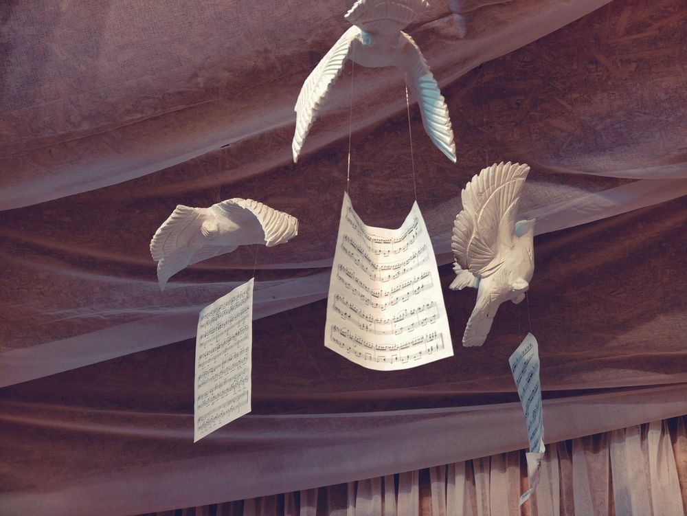 Photograph by Дарина Ворошилова