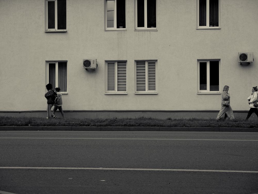 Photo #13043053
