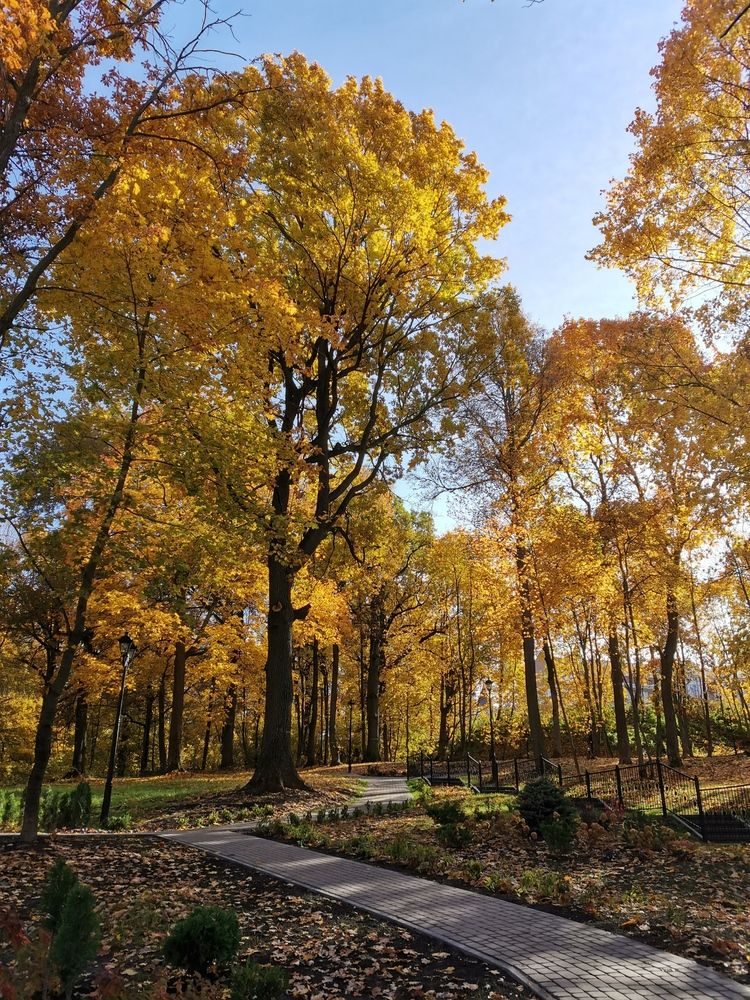 Photograph by Olga Buzuleva