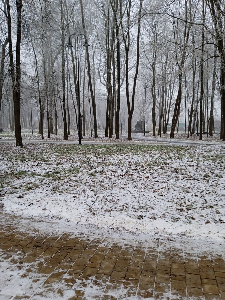 Photograph by Светлана