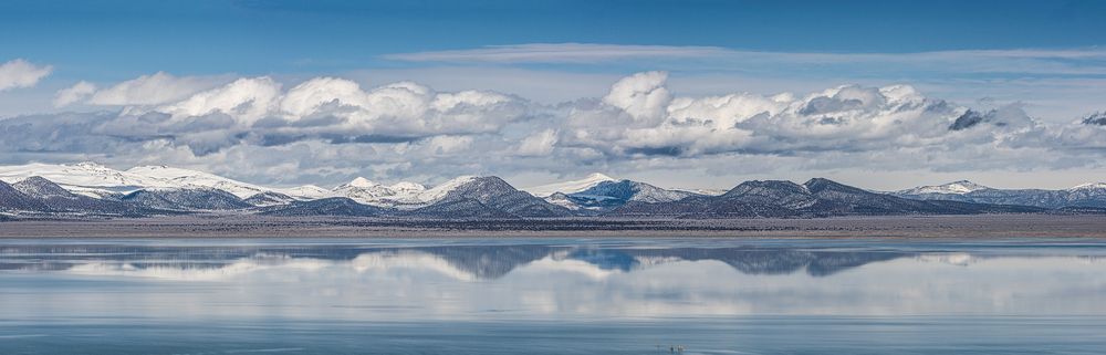 Silent Sentinels — Mono Lake