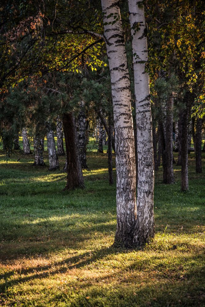 Photograph by Света Назарова