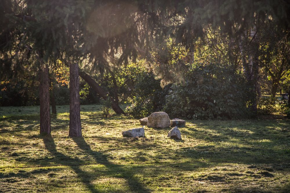 Photograph by Света Назарова