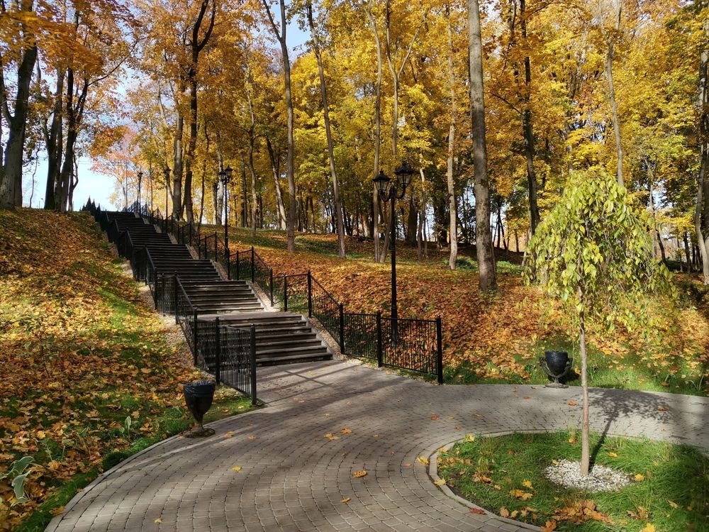 Photograph by Olga Buzuleva