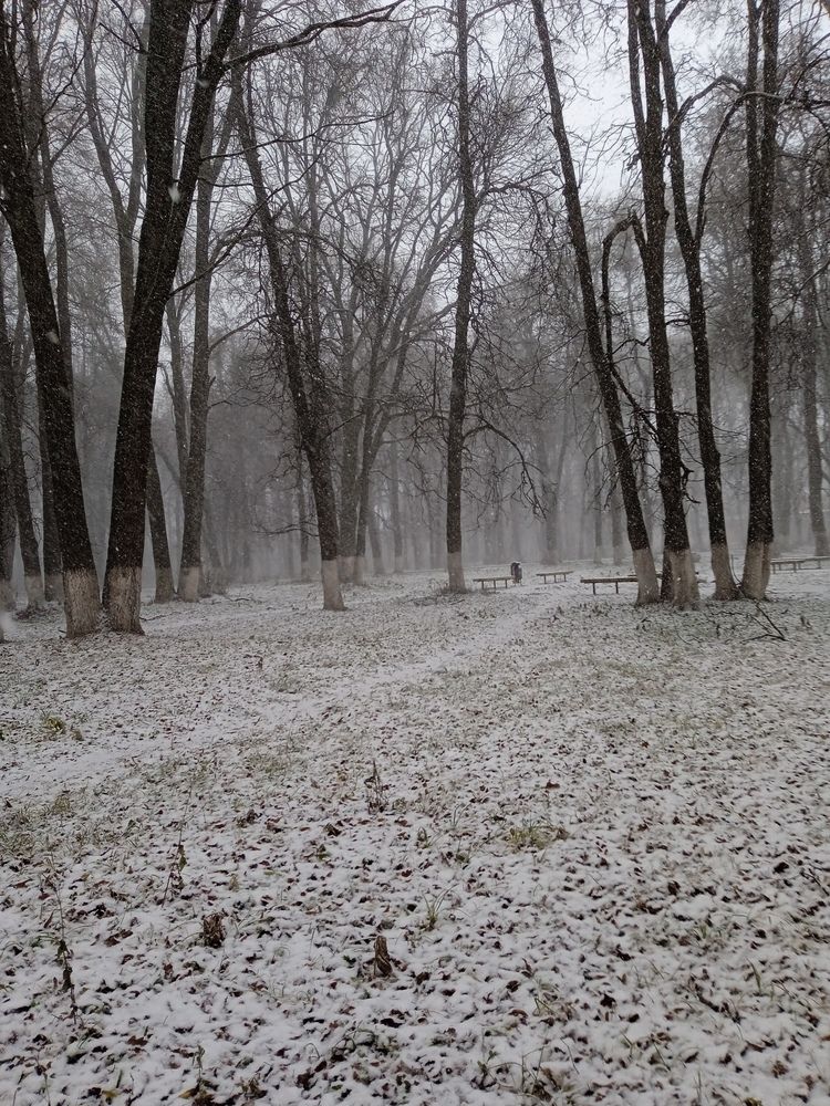 Photograph by Светлана