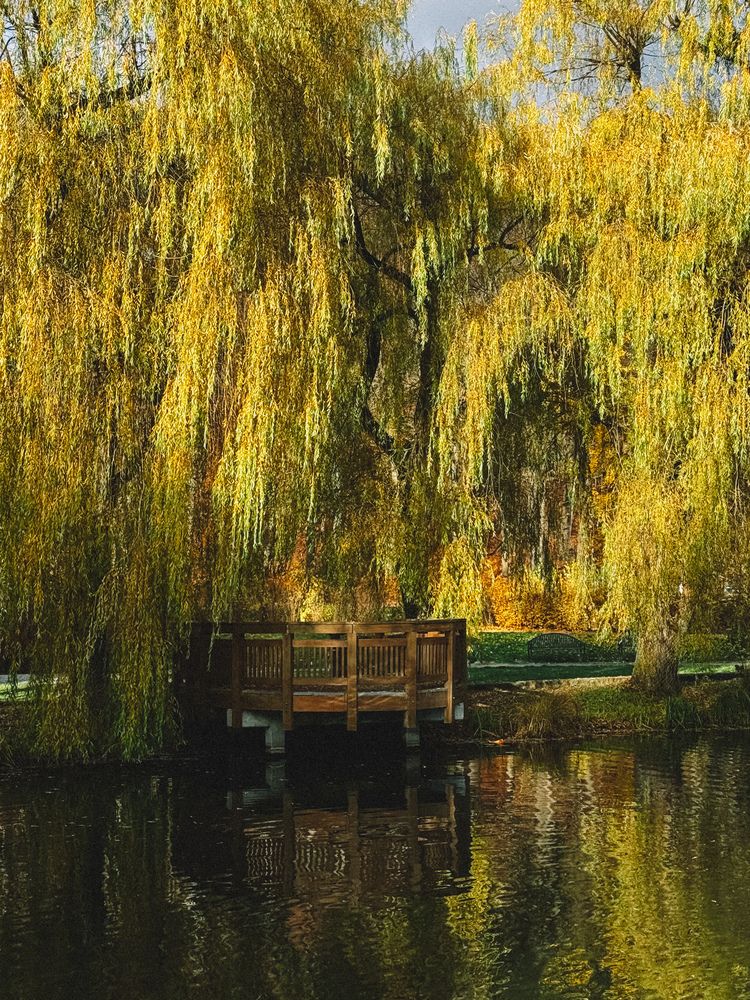 Photograph by Александр Коваль