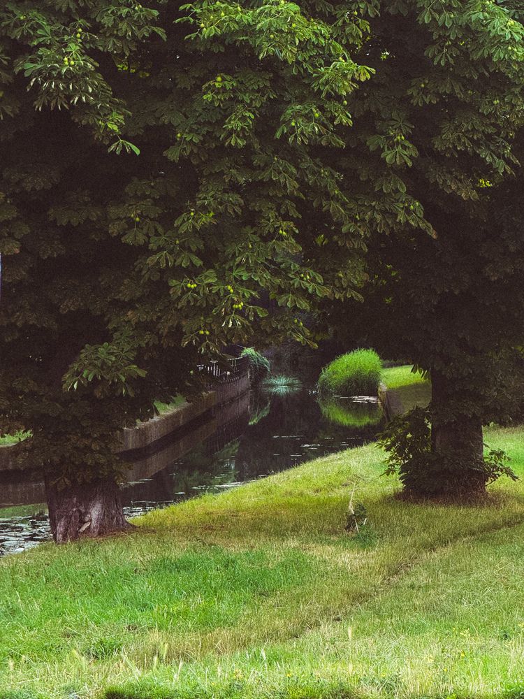 Photograph by Александр Коваль