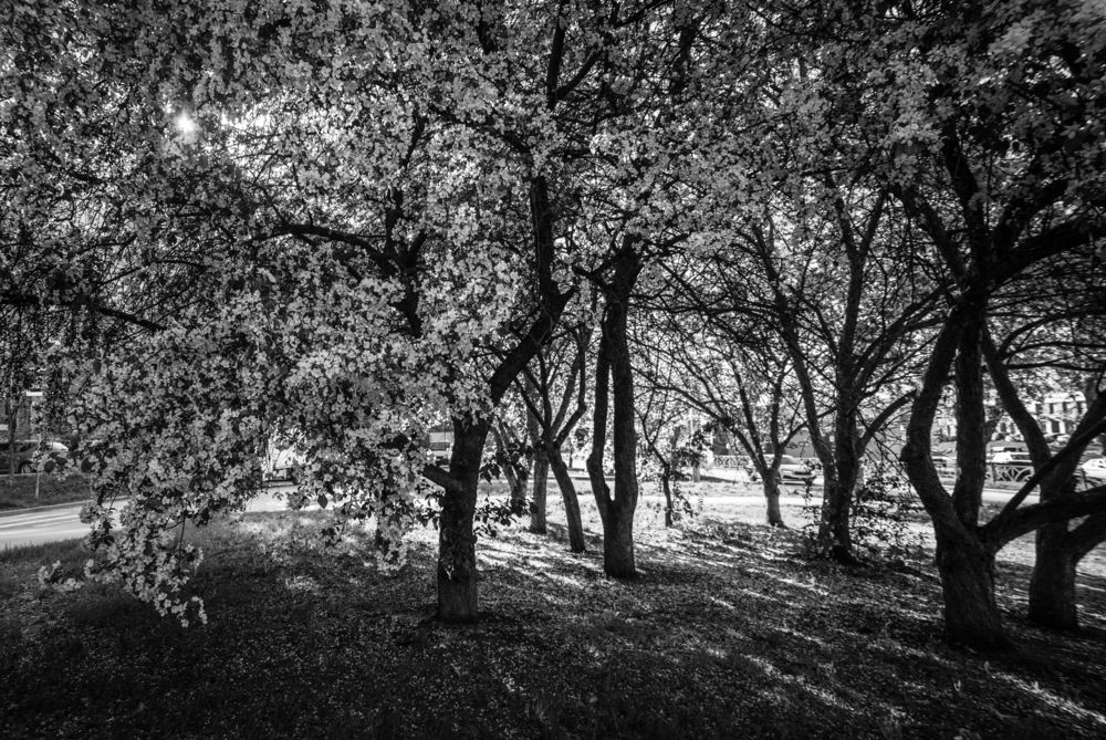 Photograph by Света Назарова