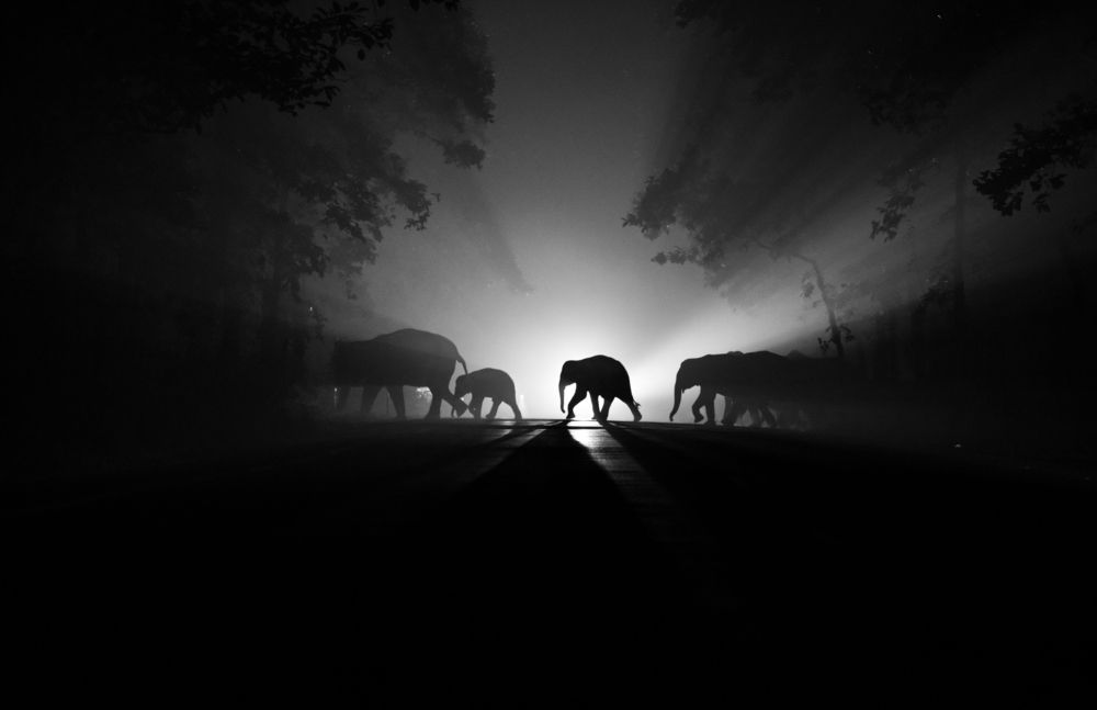 Night Walker