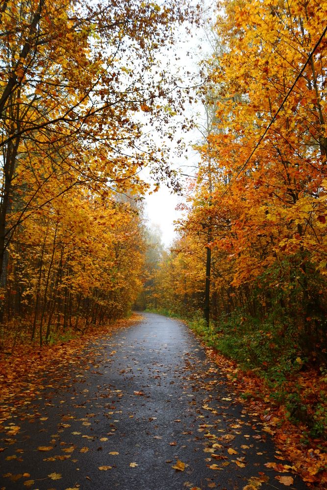 Photograph by Светлана Шуткова