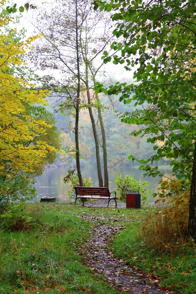 Photograph by Светлана Шуткова