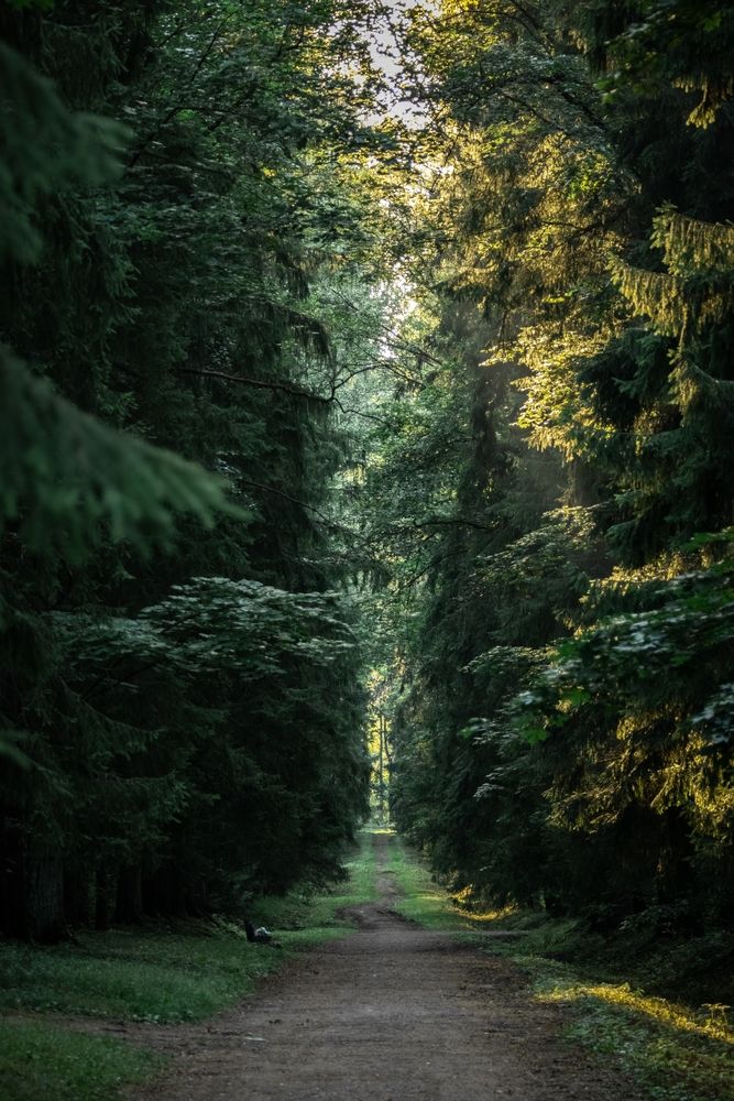 Photograph by Вячеслав Коканов