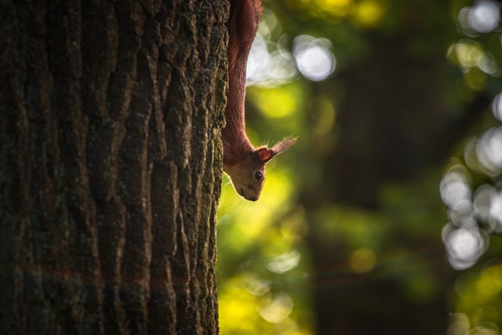 Photograph by Вячеслав Коканов